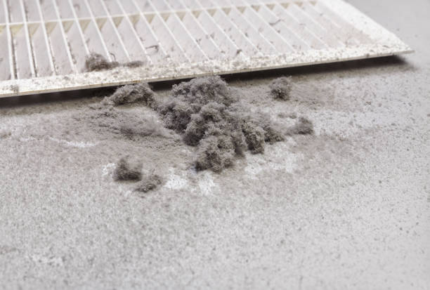 Best Commercial Air Duct Cleaning  in Big Coppitt Key, FL